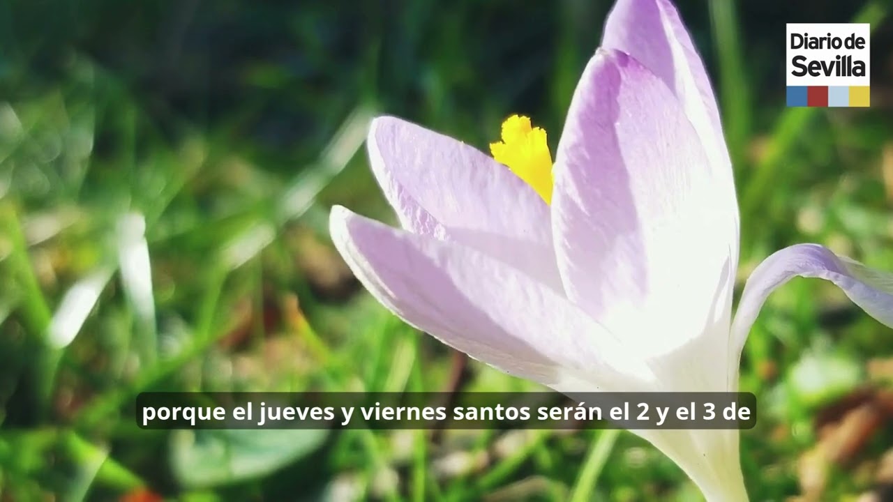 Así queda el calendario laboral de Sevilla en 2026: todos los festivos y puentes del año