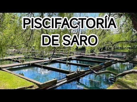 Piscifactoría de Saro, Cantabria, una experiencia para niños y mayores 