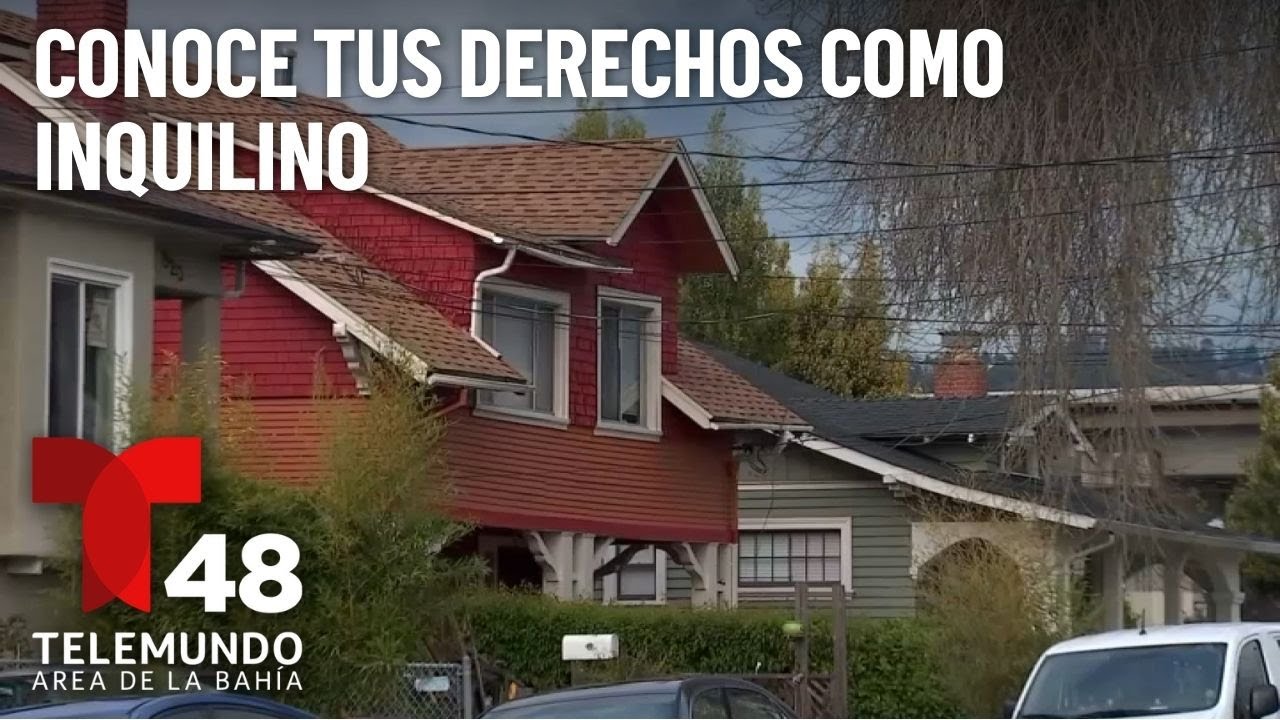 Cuáles son tus derechos como inquilino