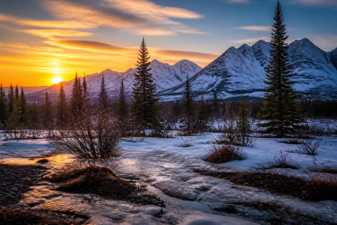 descubre la historia del día en que alaska dejó de nevar, un evento único que cambió para siempre el paisaje y la vida en esta región helada.