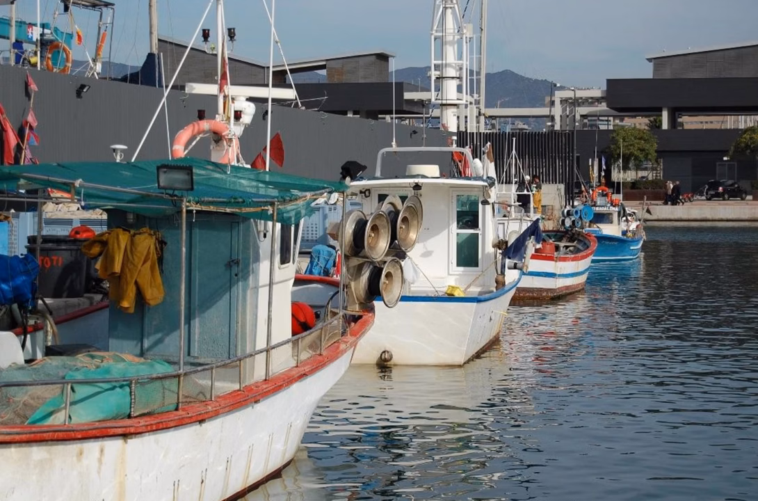 Illustration : Consecuencias para la pesca local y la sostenibilidad en Cantabria