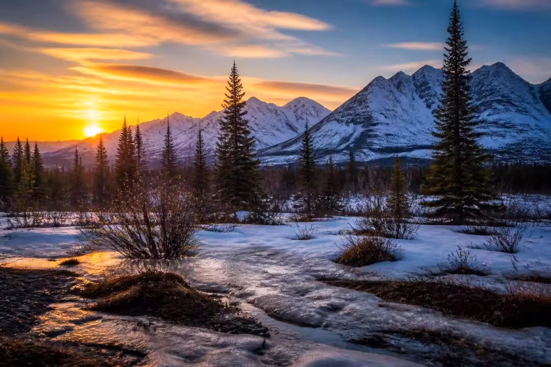 descubre la historia del día en que alaska dejó de nevar, un evento único que cambió para siempre el paisaje y la vida en esta región helada.