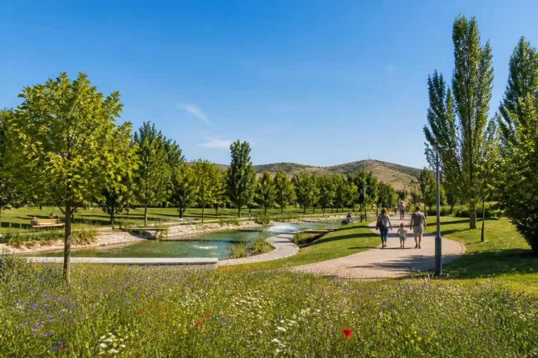 descubre el parque de fuentes blancas en valladolid, un espacio verde ideal para disfrutar de la naturaleza, paseos y actividades al aire libre.