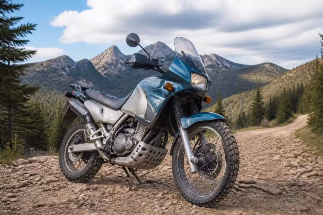 descubre la kawasaki kle 500, la moto aventurera por excelencia, perfecta para explorar caminos con estilo y comodidad.